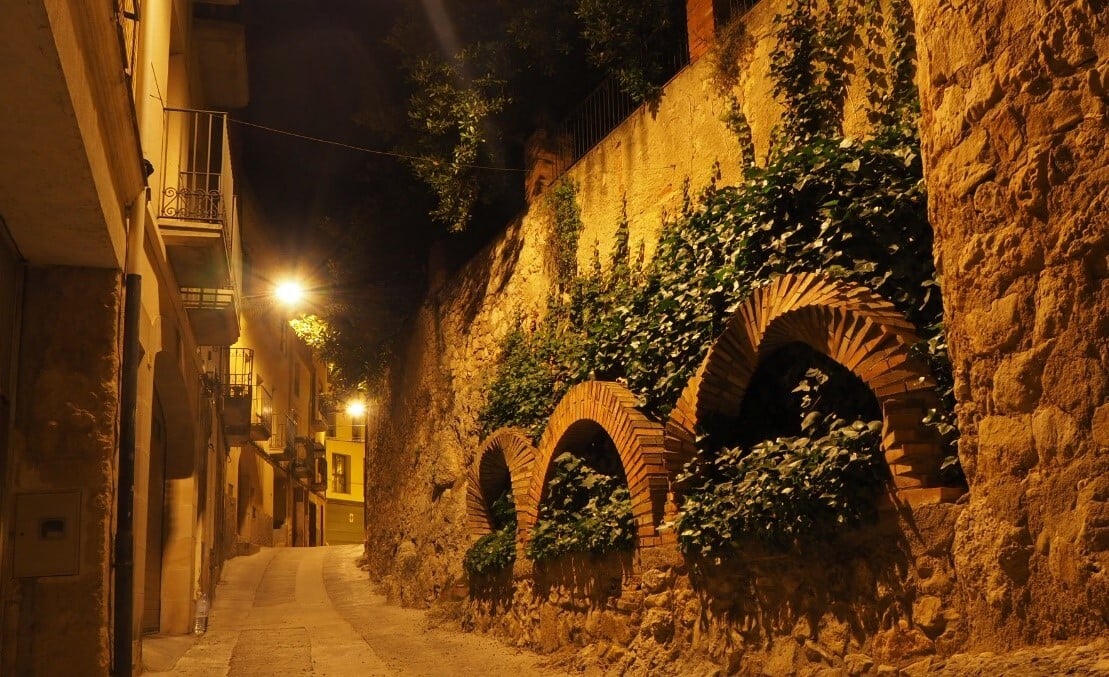 CdE_NdP_JUN_2022_VimbofíIPoblet_1